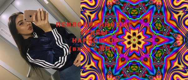 МДМА Горняк